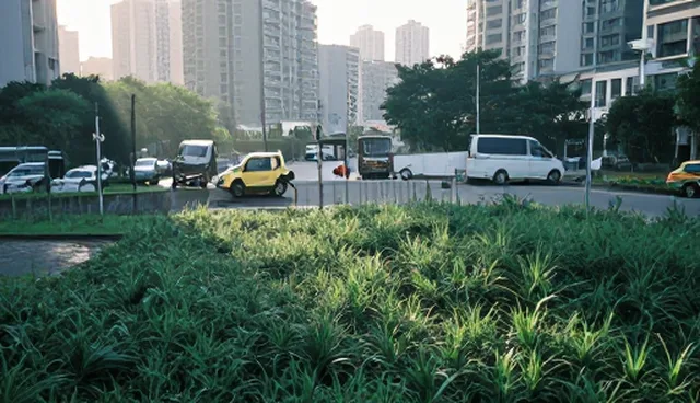 设计因素如何影响成果转化效果